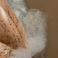 coffee scrub that booty